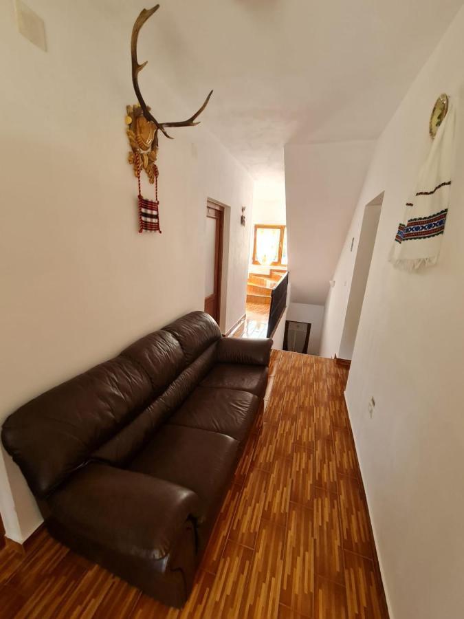 Cazare Luxandra Borşa 외부 사진